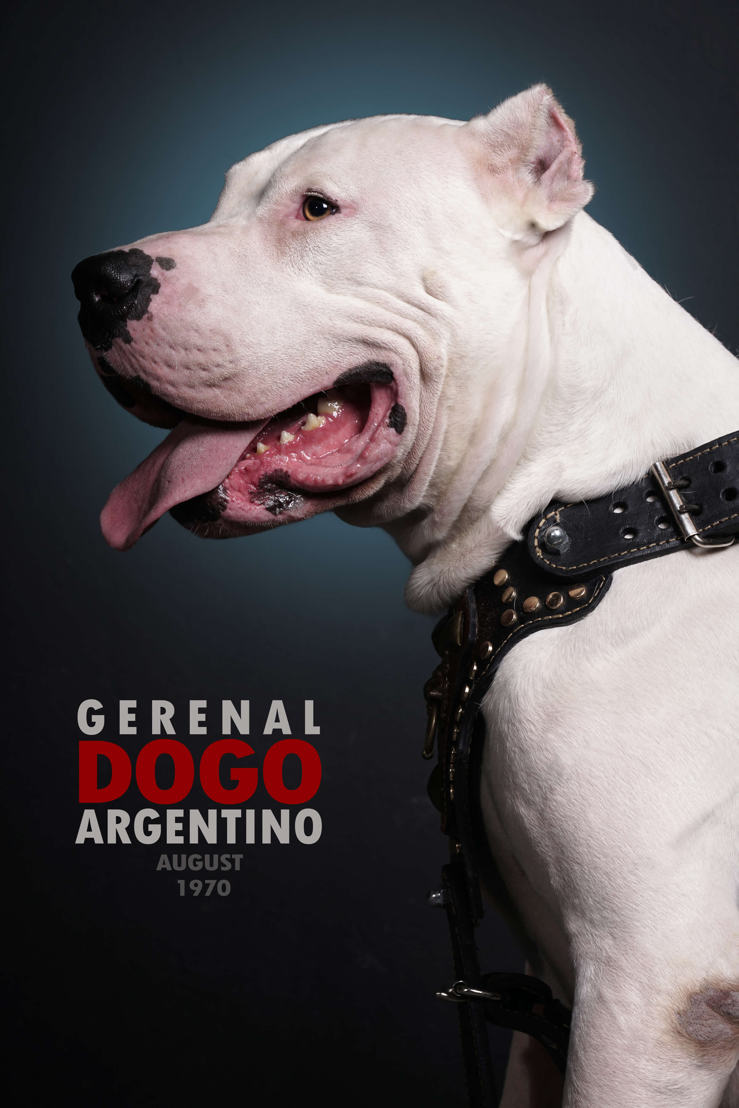 Mehdi Ghasemi PHOTOGRAPHY