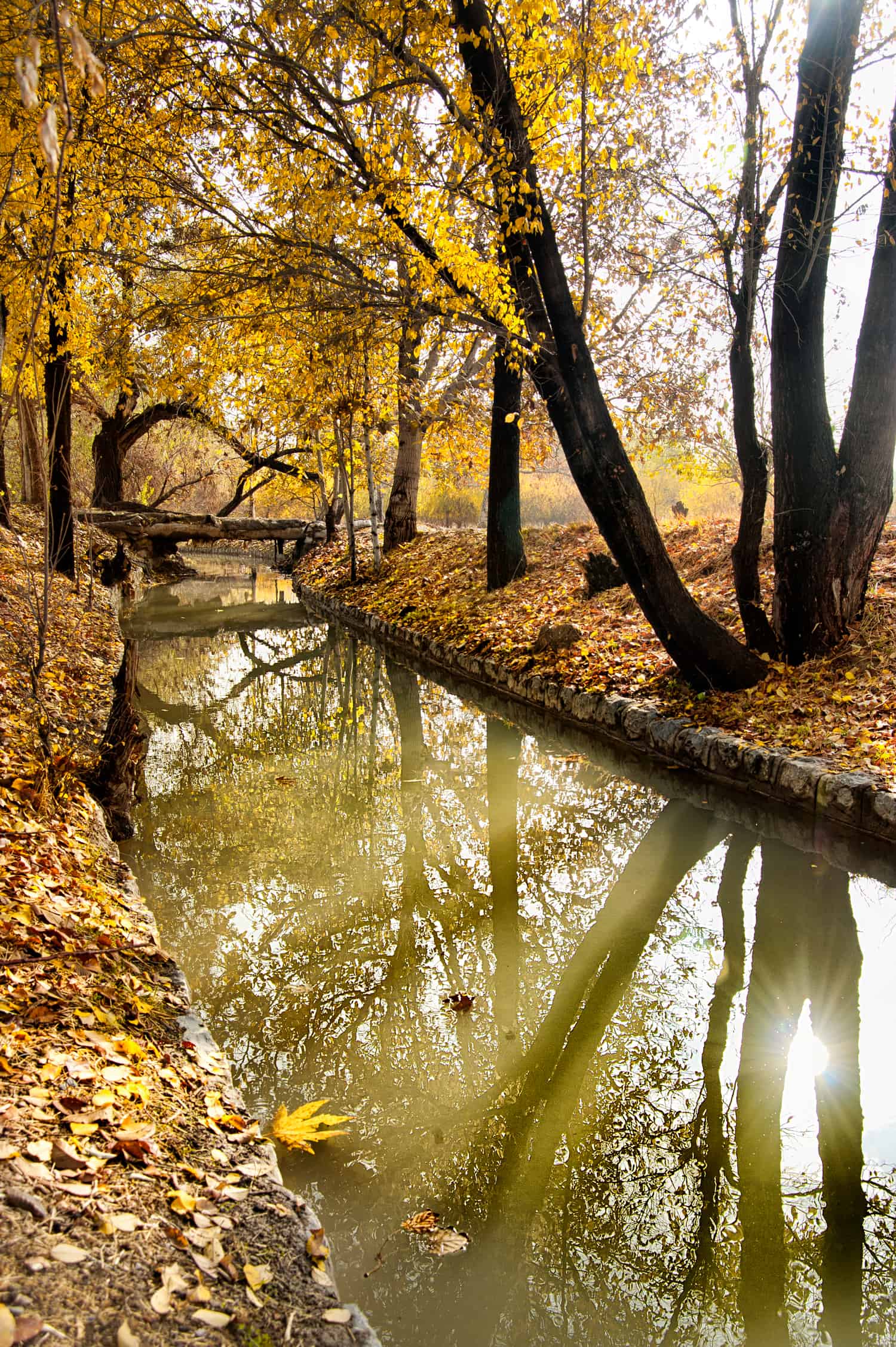 Mehdi Ghasemi PHOTOGRAPHY