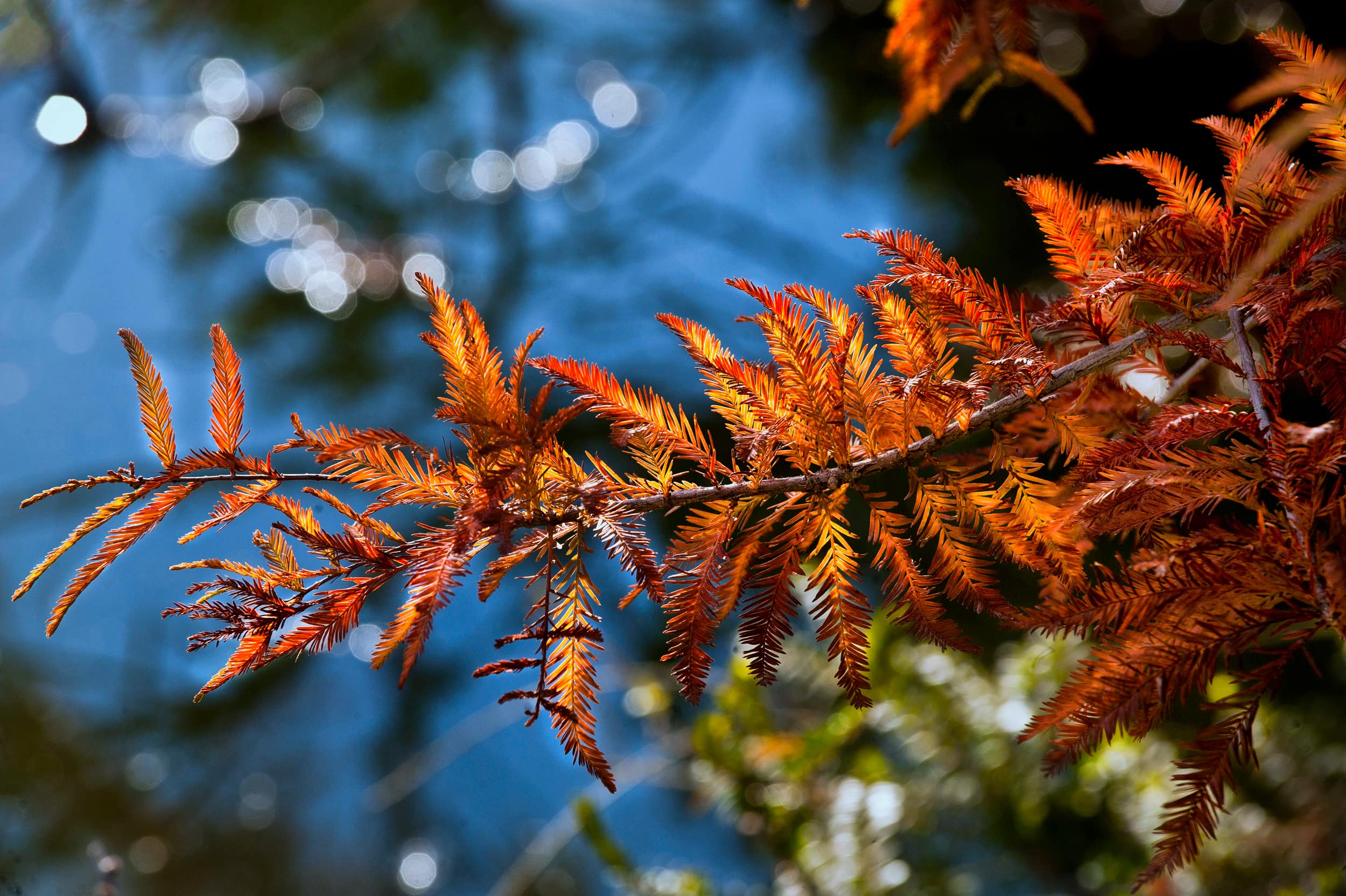 Mehdi Ghasemi PHOTOGRAPHY