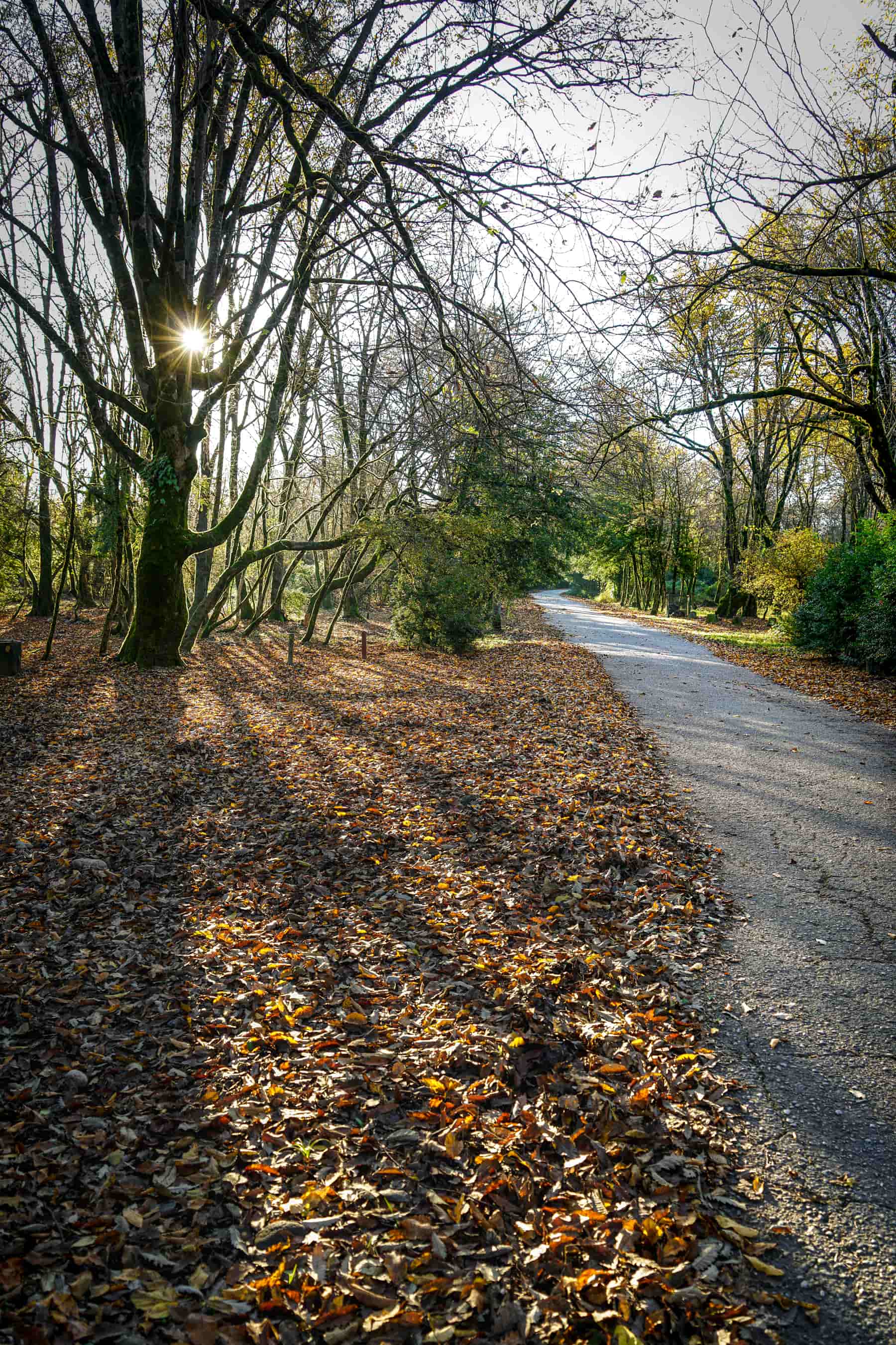 Mehdi Ghasemi PHOTOGRAPHY